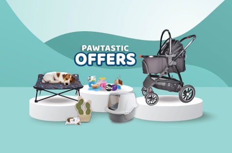 Pet Kingdom – Promo Pawtastic...