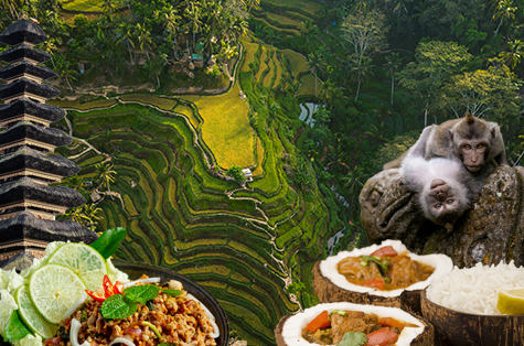 Kawasan Ubud - Cashback 50% pa...