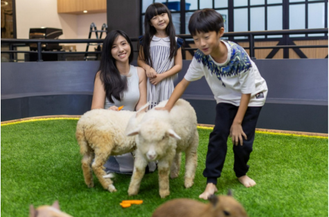Hemat Hingga 20% dengan Livin’...