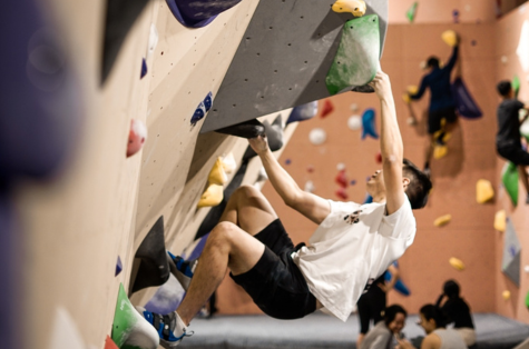 Special Price Starter Pack + C...