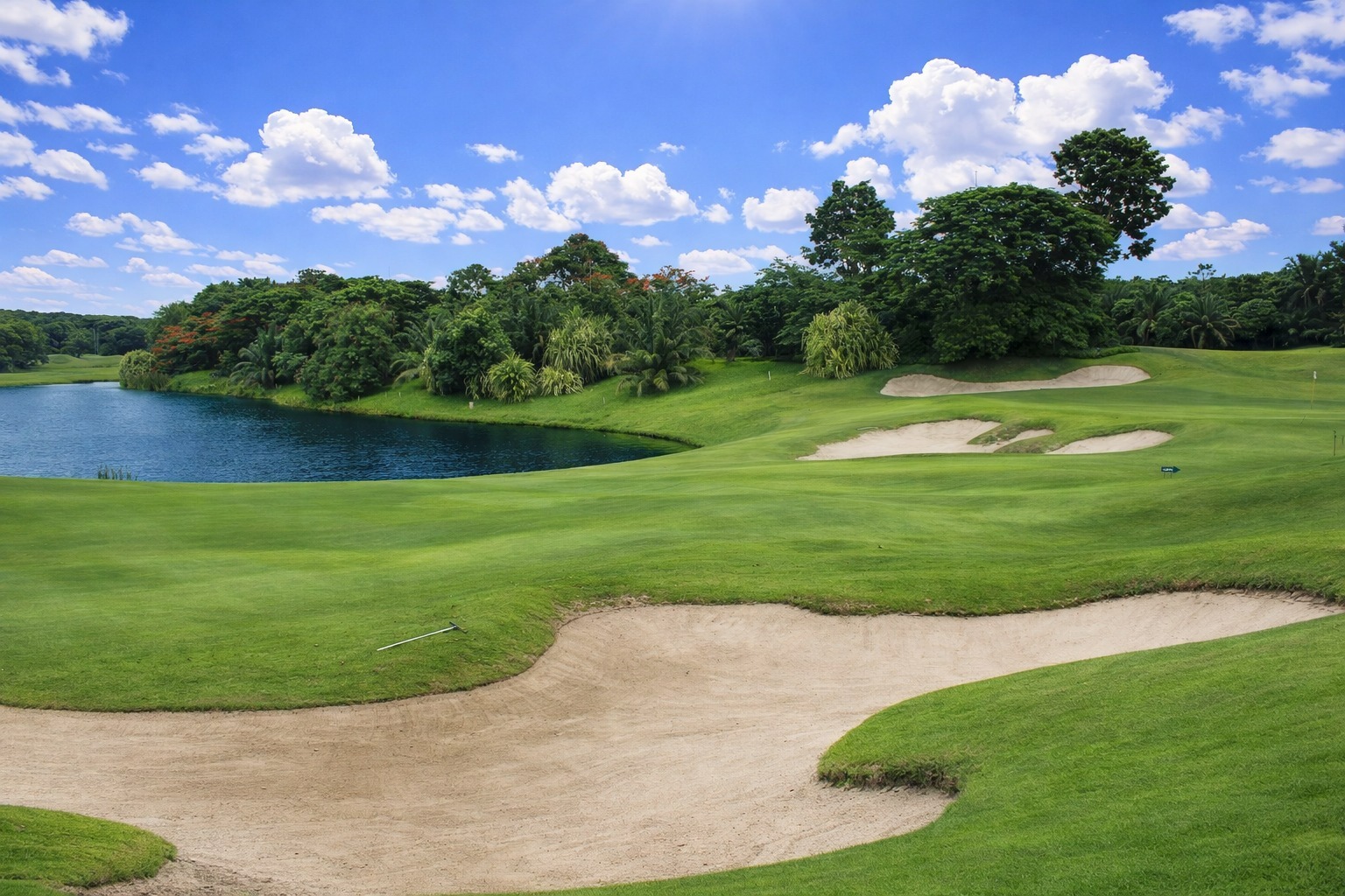 Cashback hingga Rp150 ribu + E...