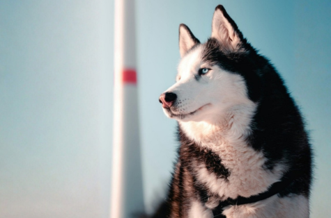 Cicilan 0% hingga 12 bulan + H...