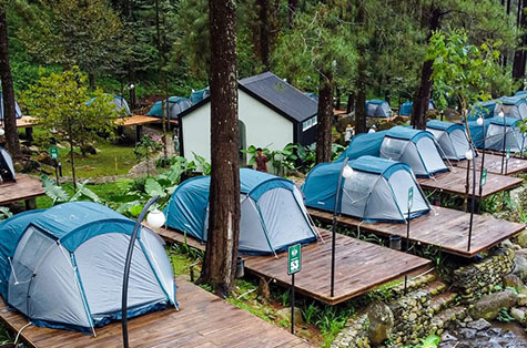 Diskon hingga 20% tukar Livin'...