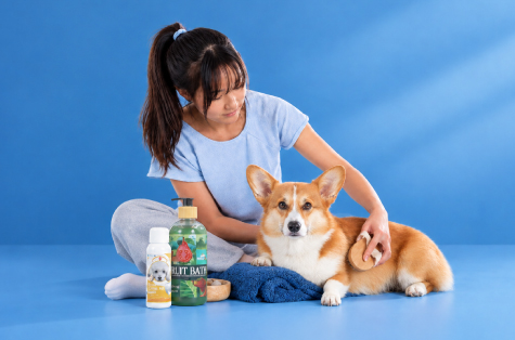 Promo Pet Kingdom – Diskon 10%...