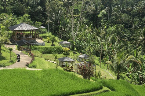 Diskon s.d. 20% tukar Livin’po...