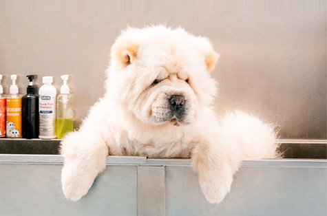 Cicilan 0% hingga 12 bulan + D...