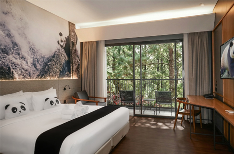 Early Bird New Year Package Di...